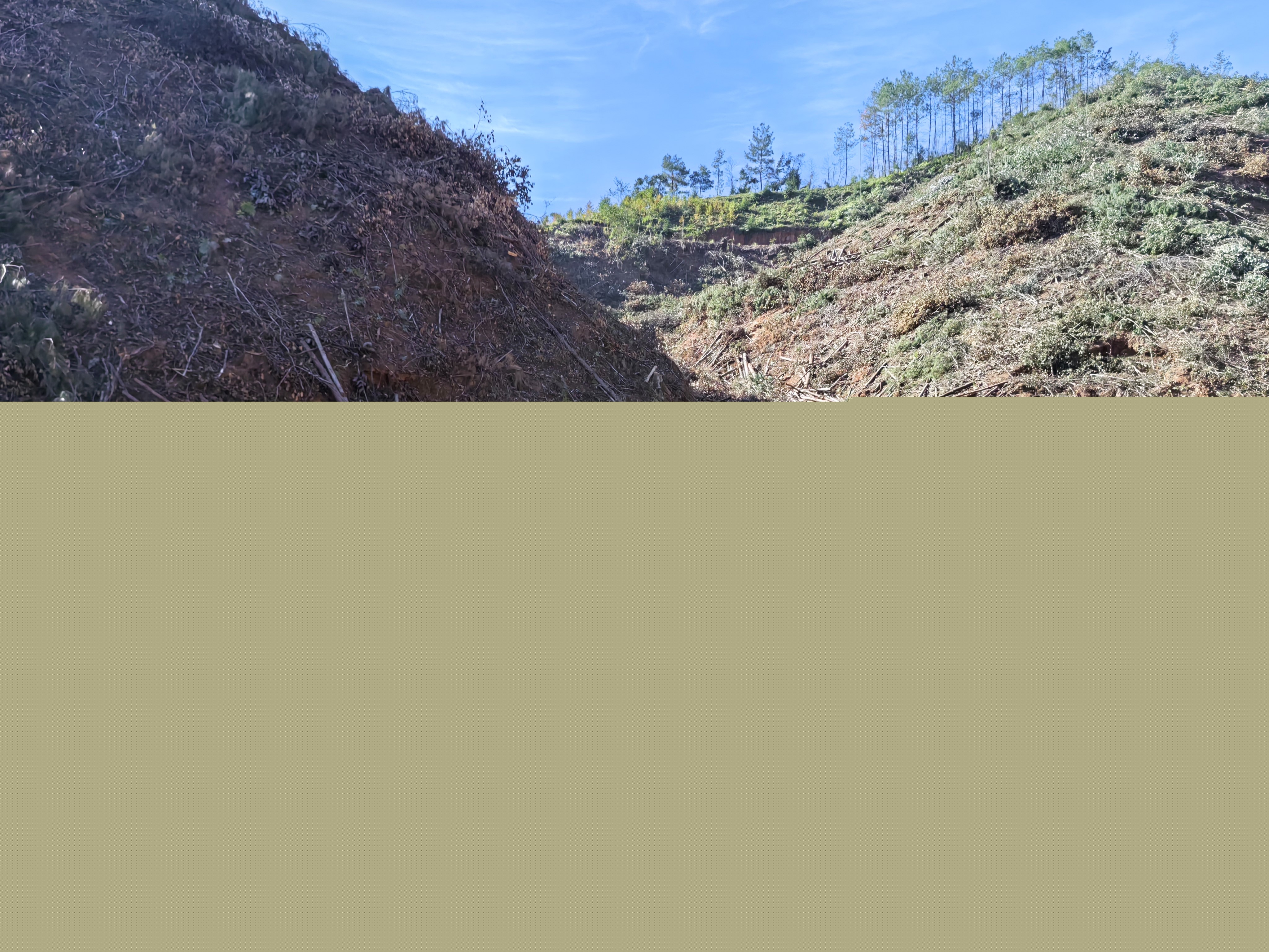 平安常青，我們在行動——常青分公司開展安全生產日活動