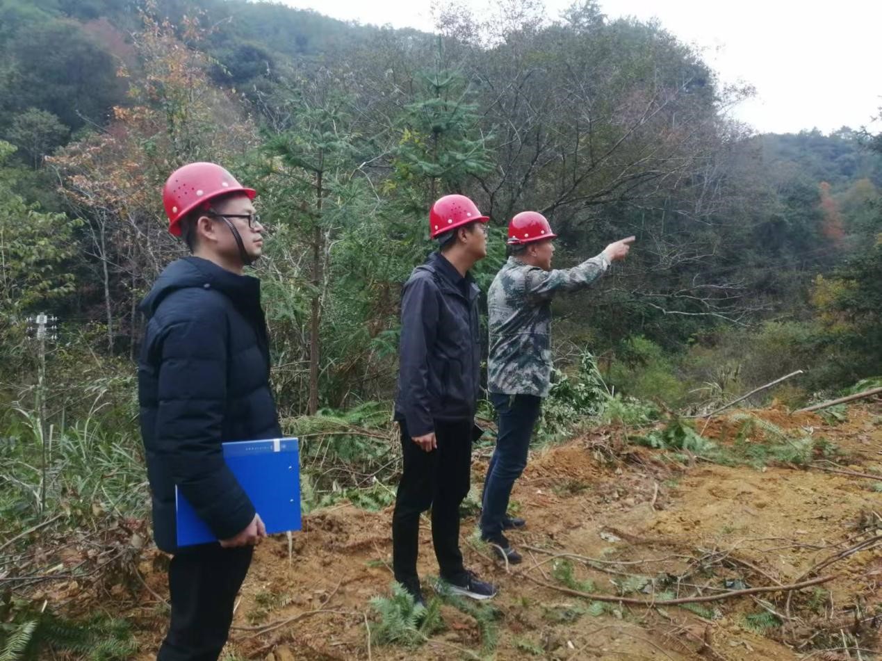 全面強化安全責任，嚴守森林防火線——福建金森全力保障生產安全