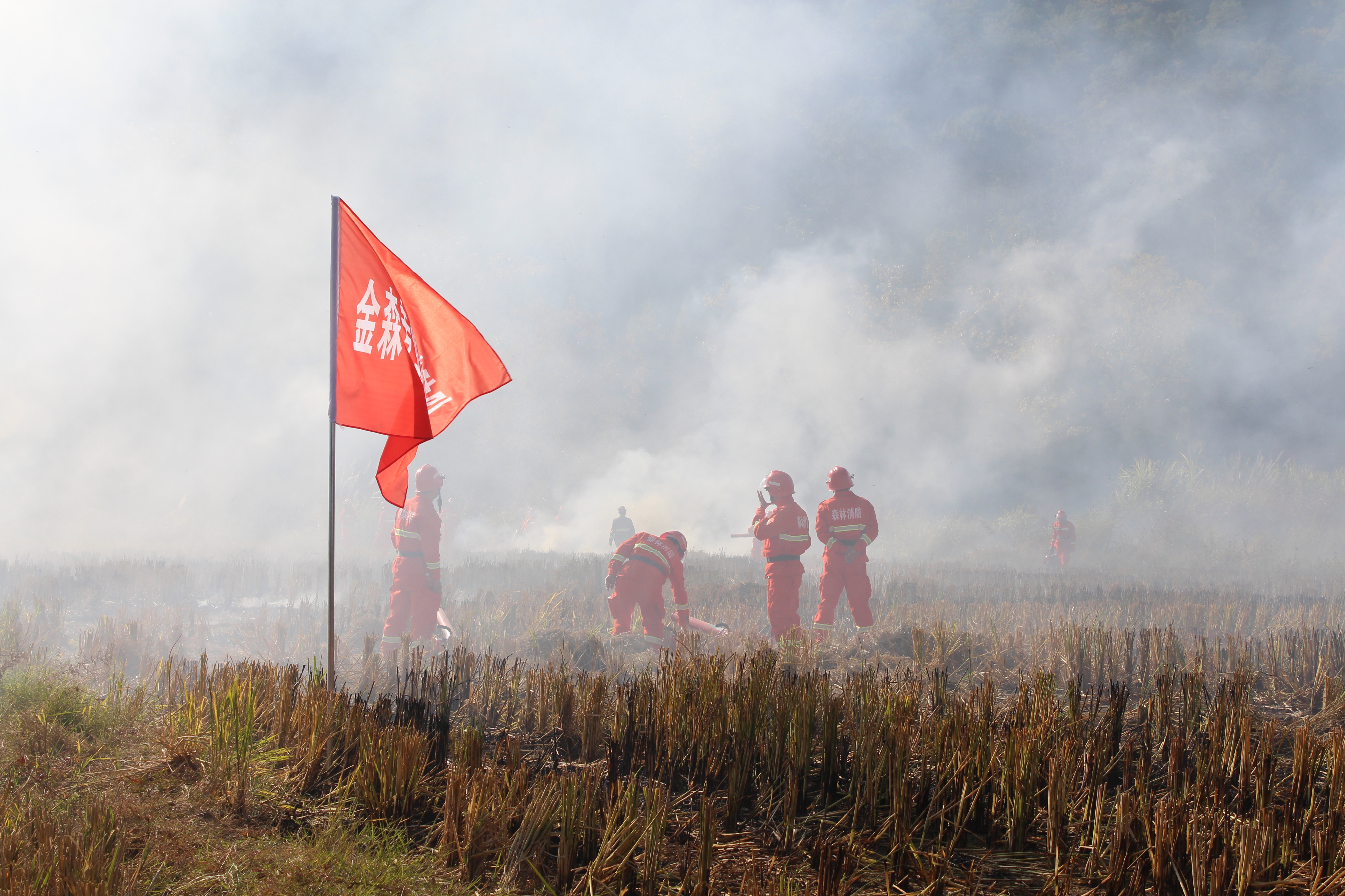 干好每一天|福建金森開展森林防火業務培訓及防火演練 干好每一天|福建金森開展森林防火業務培訓及防火演練