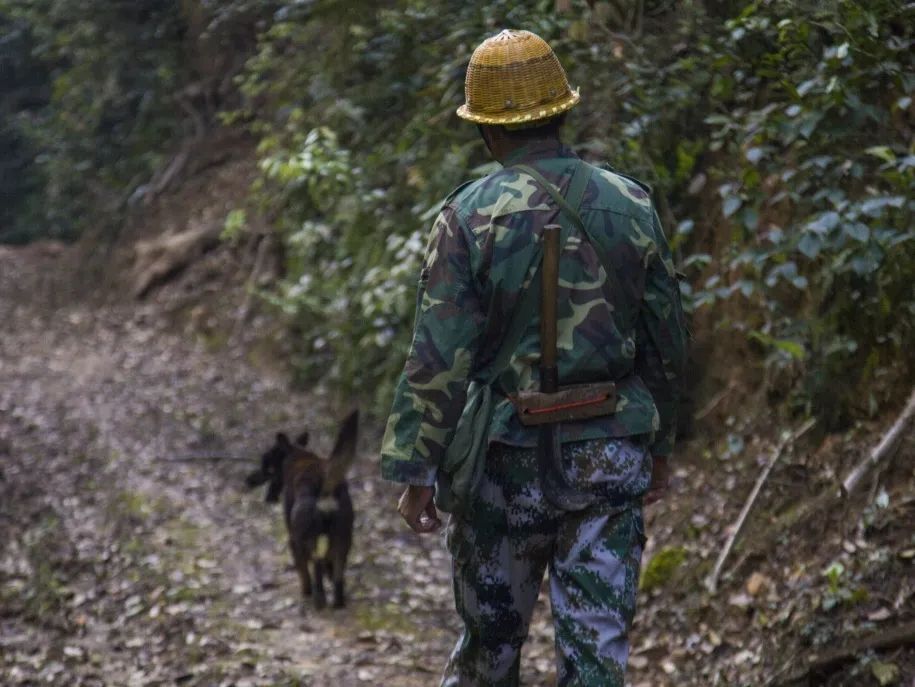 【金森榜樣】護林員邱玉祥的一天:想一輩子與青山相伴 【金森榜樣】護林員邱玉祥的一天:想一輩子與青山相伴