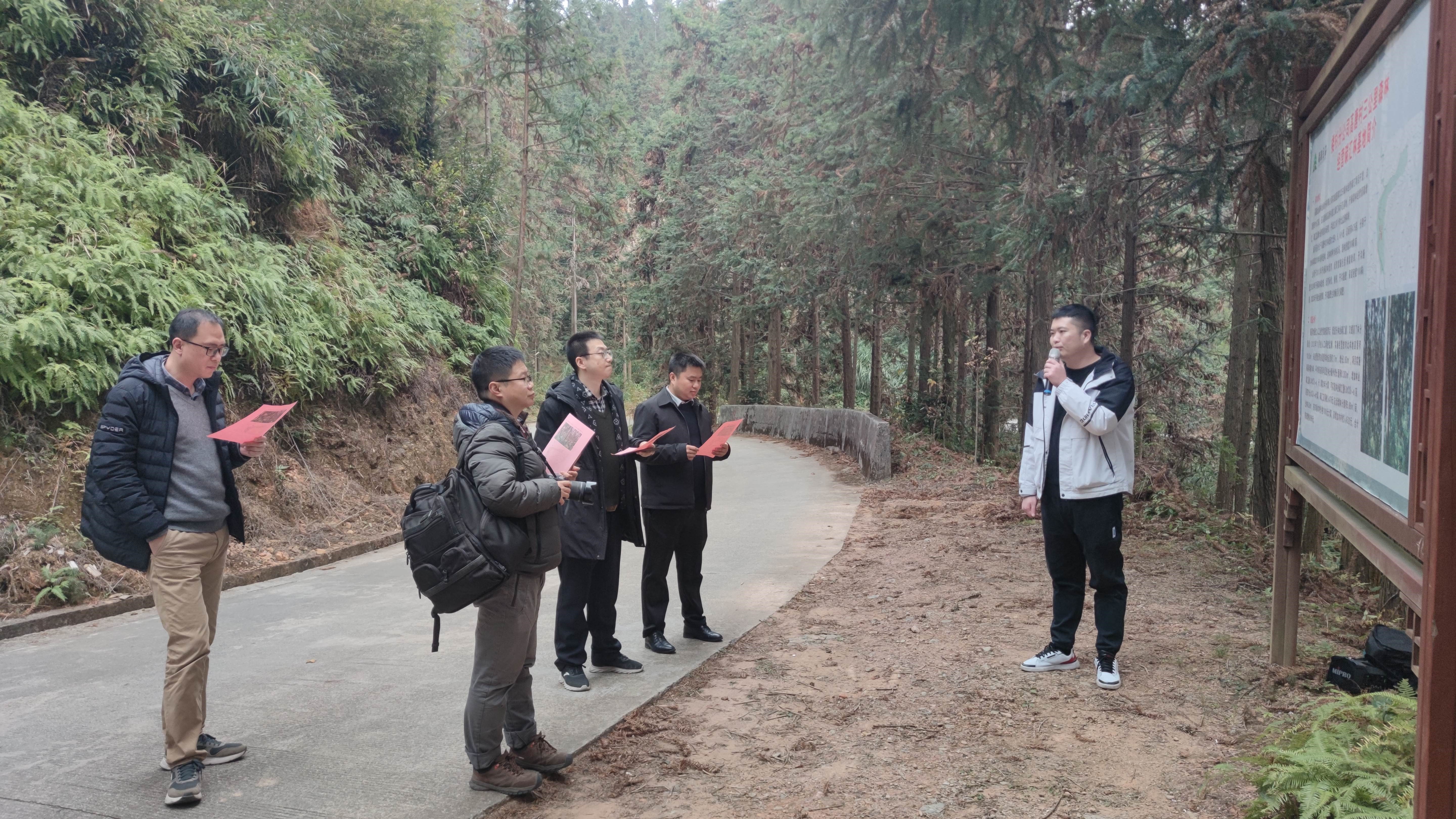 福建金森與上海園林集團——強強交流促合作,共繪林改新藍圖 福建金森與上海園林集團——強強交流促合作,共繪林改新藍圖