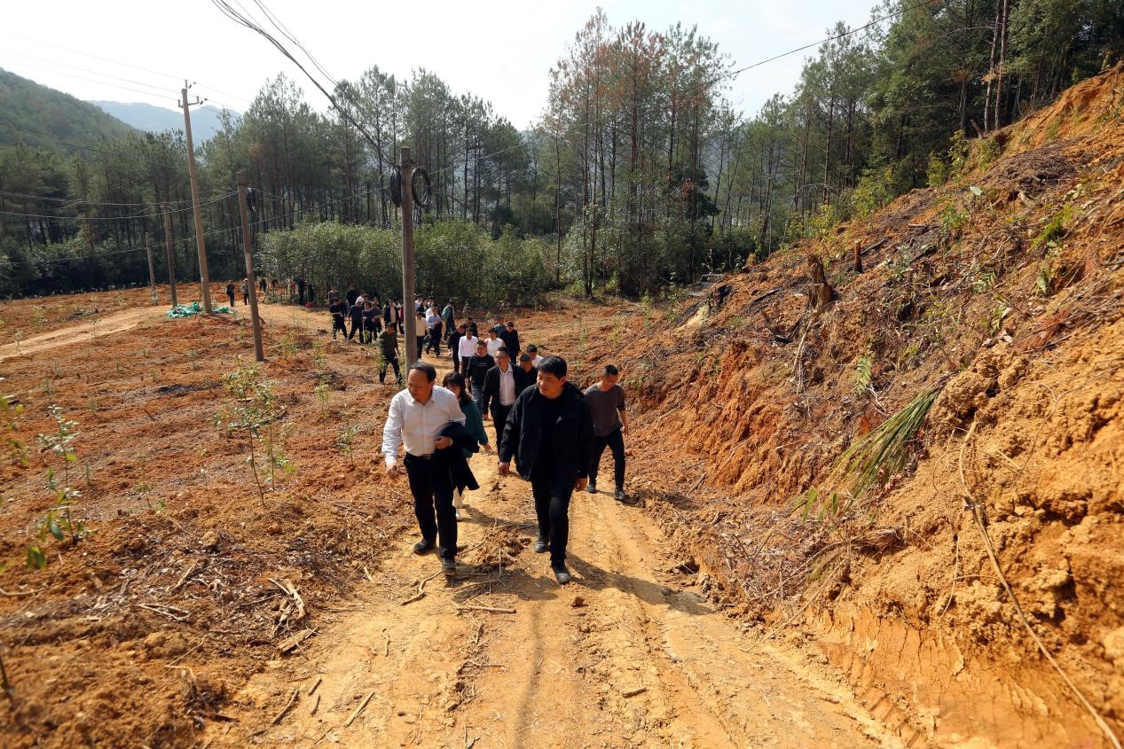 不負(fù)春光好，搶播萬(wàn)畝林 ——將樂(lè)縣村企合作造林工作現(xiàn)場(chǎng)會(huì)在福建金森召開(kāi)