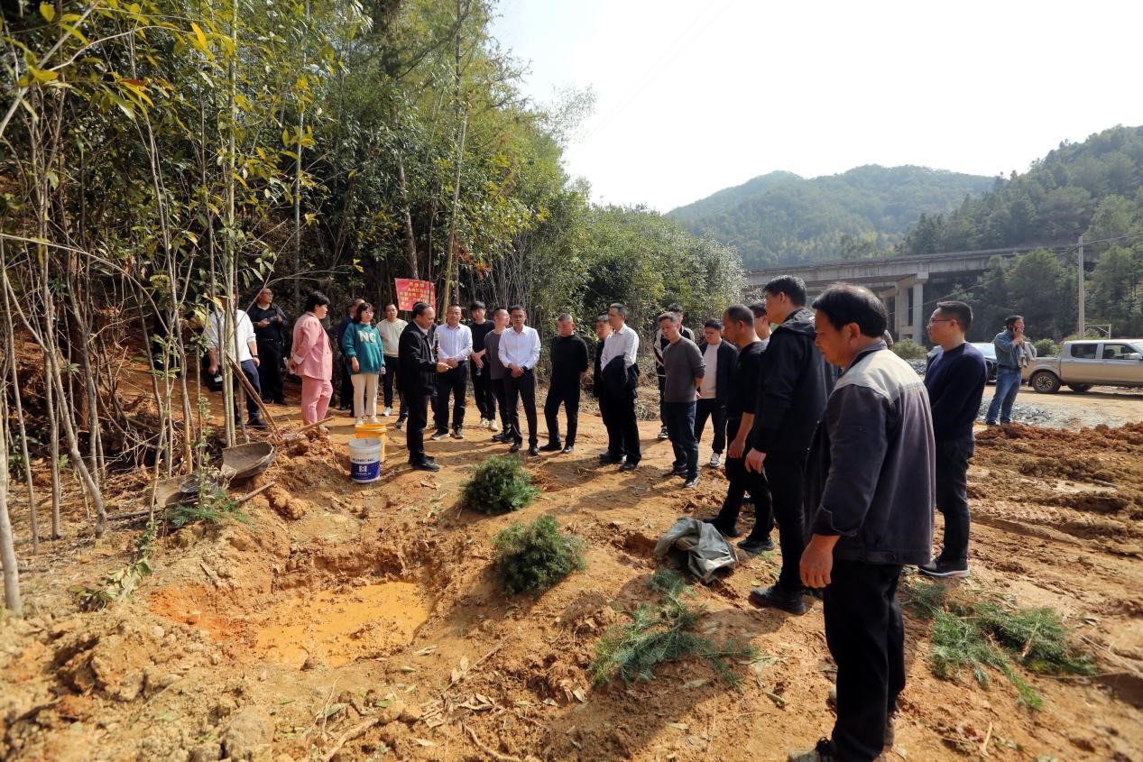 不負(fù)春光好，搶播萬(wàn)畝林 ——將樂(lè)縣村企合作造林工作現(xiàn)場(chǎng)會(huì)在福建金森召開(kāi)