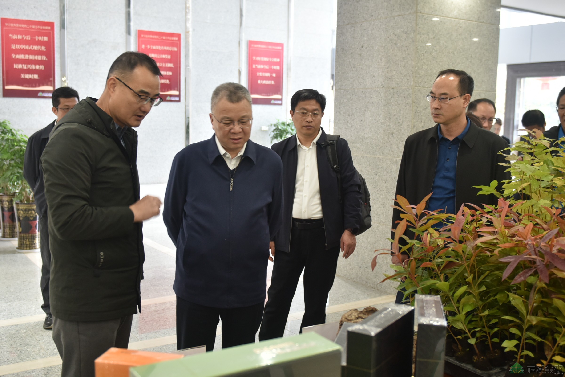 南京林業大學至福建金森調研